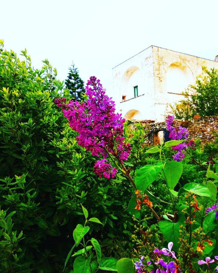 Masseria Delle Rose 1760 Alessano Exterior photo