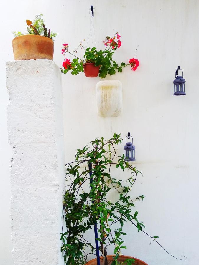 Masseria Delle Rose 1760 Alessano Exterior photo